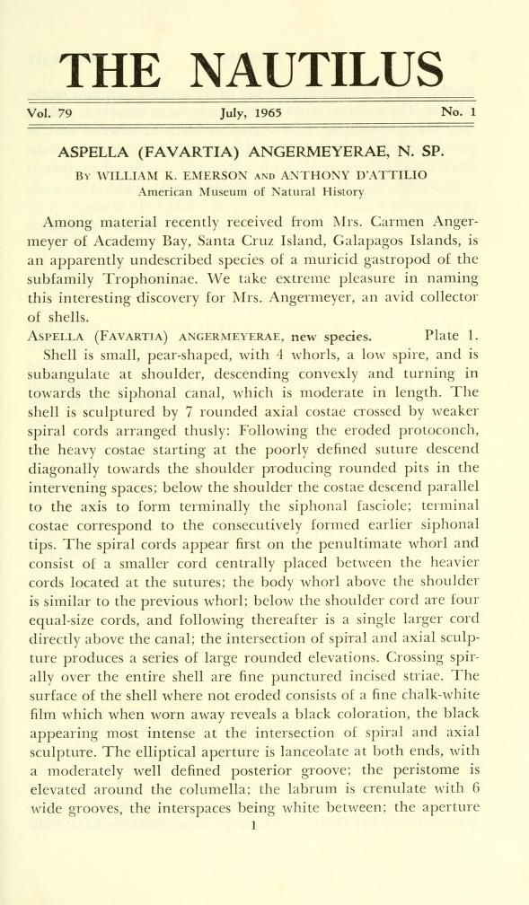 Media type: text; Clench 1965 Description: The Nautilus, vol. 79, no. 1;